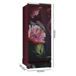 Whirlpool 192 Litre 3 Star Glass Finish Single Door Refrigerator with Up-To 7 Days of Garden Freshness, Night Bloom, 215 Icemagic Pro GD ROY