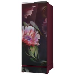 Whirlpool 192 Litre 3 Star Glass Finish Single Door Refrigerator with Up-To 7 Days of Garden Freshness, Night Bloom, 215 Icemagic Pro GD ROY