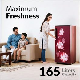 AKAI 165L, 2 Star Direct Cool Single Door Refrigerator, Manual+Push Defrost, Soft Crisper, Stabilizer Free Operation, Wine Flower, AKDE1802-CPFHW